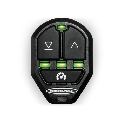 One Pump Remote w/ cradle- CM2